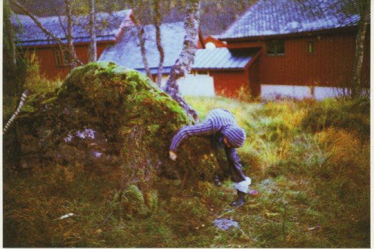 bjorn
