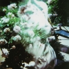 film_120_3