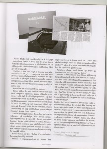 Fan fanzine 02_w800
