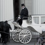 horse and carriage